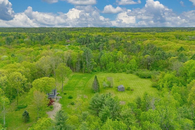 6 Bluebird Way, Kennebunk, ME 04043 - aerial view of a heavily wooded area