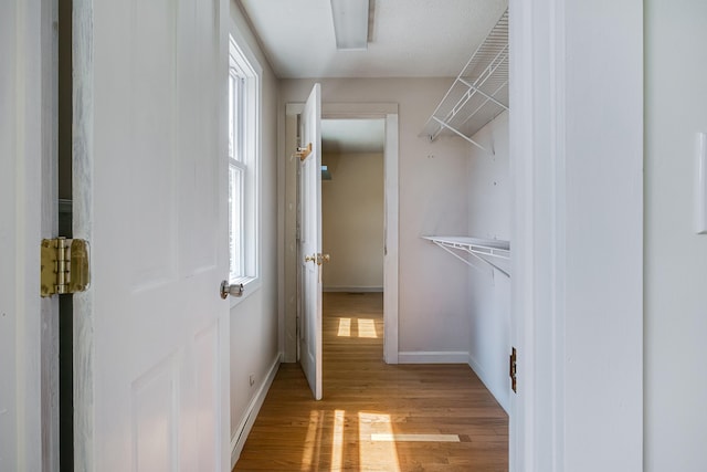 23 Paul St, South Berwick, ME 03908 - walk in closet featuring light wood-type flooring