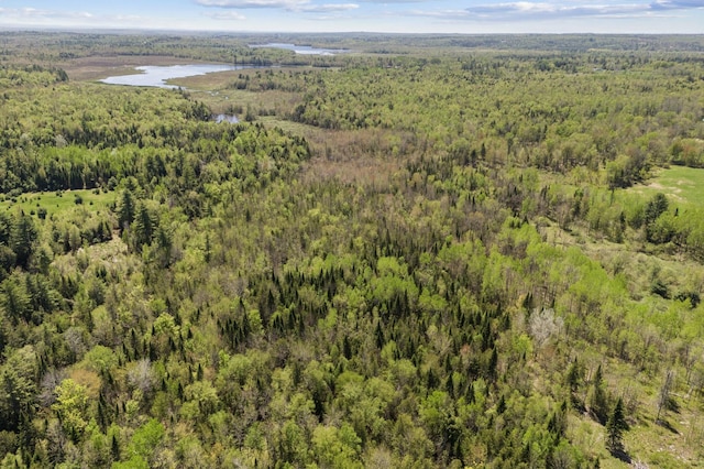 aerial overview of property's location featuring a forest and a large body of water