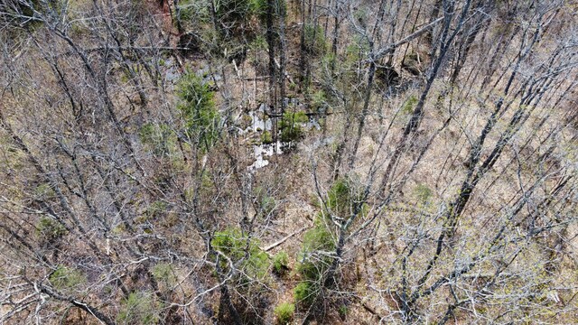 2029 Fox Hollow Rd, Carrabassett Valley, ME 04947 - photo 6