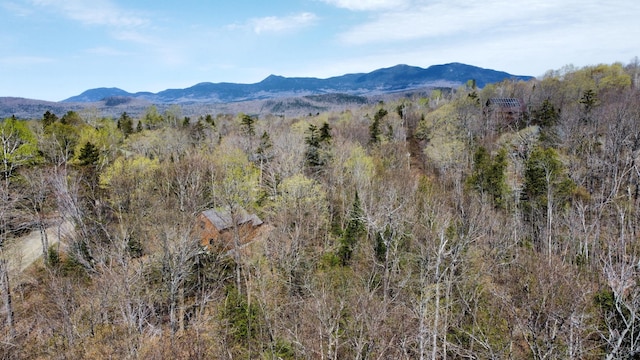 2029 Fox Hollow Rd, Carrabassett Valley, ME 04947 - photo 10