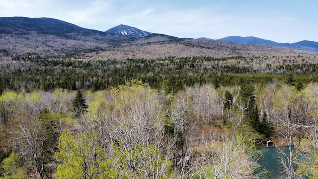2029 Fox Hollow Rd, Carrabassett Valley, ME 04947 - photo 7
