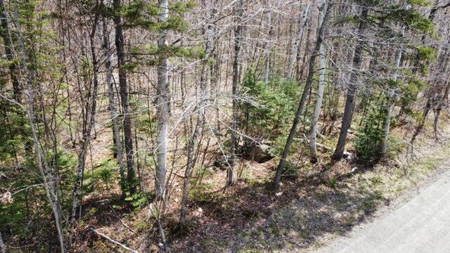 2029 Fox Hollow Rd, Carrabassett Valley, ME 04947 - photo 8