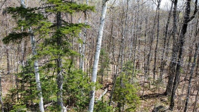 2029 Fox Hollow Rd, Carrabassett Valley, ME 04947 - photo 9