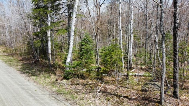 2029 Fox Hollow Rd, Carrabassett Valley, ME 04947 - photo 2