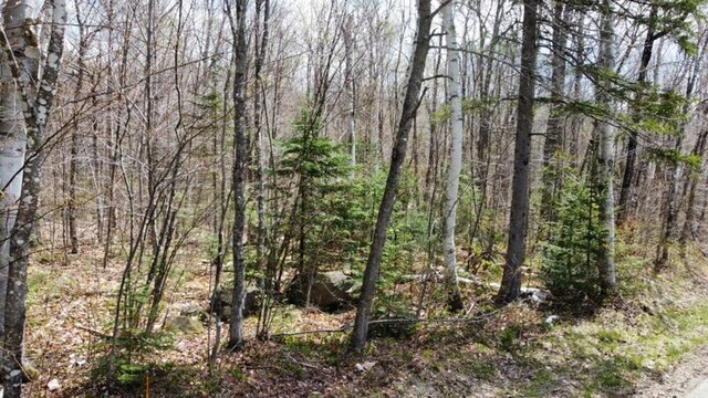 2029 Fox Hollow Rd, Carrabassett Valley, ME 04947 - photo 5