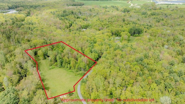 4 Brown Hill Ln, Scarborough, ME 04074 - aerial overview of property's location with a forest and property parcel outlined