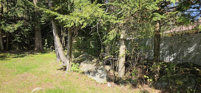 645 Kennebec St, Rumford, ME 04276 - view of nature