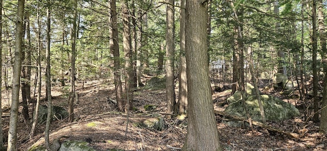 645 Kennebec St, Rumford, ME 04276 - view of woods