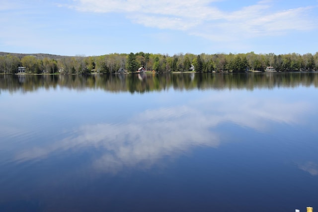 water view featuring a heavily wooded area