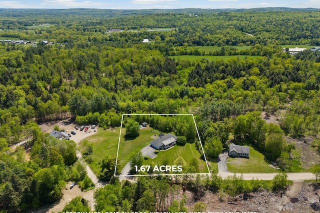 29 Gabriels Way, Turner, ME 04282 - view of property location with a forest and property boundaries highlighted