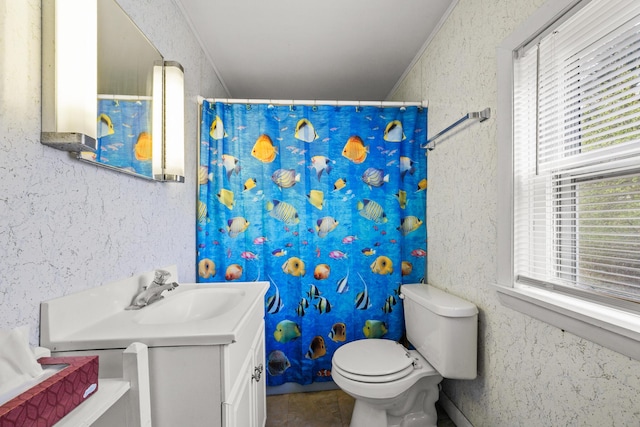 16 Columbia Ave, Tremont, ME 04612 - bathroom featuring vanity, toilet, and a shower with curtain