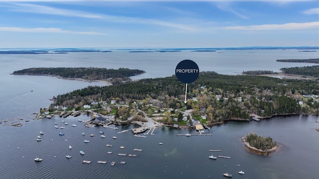 16 Columbia Ave, Tremont, ME 04612 - aerial view of a large body of water and a forest