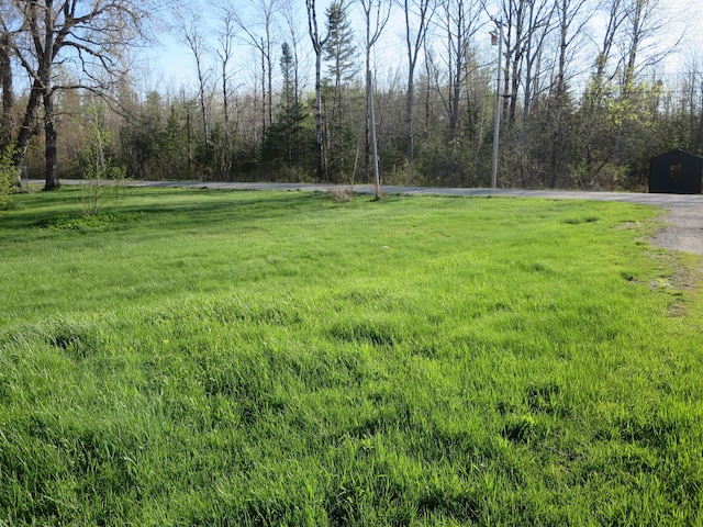 view of grassy yard