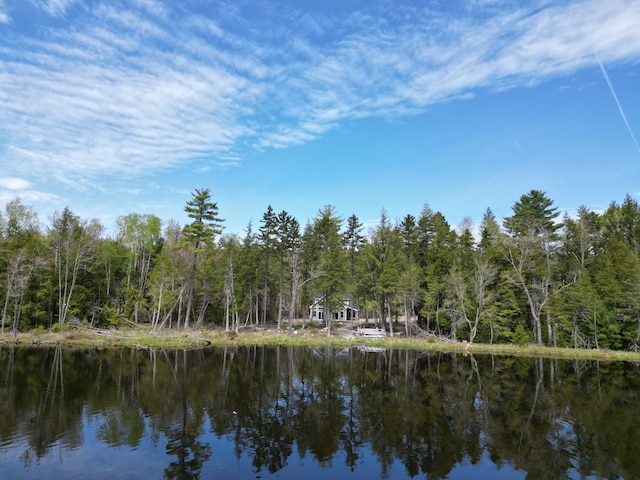 water view featuring a forest