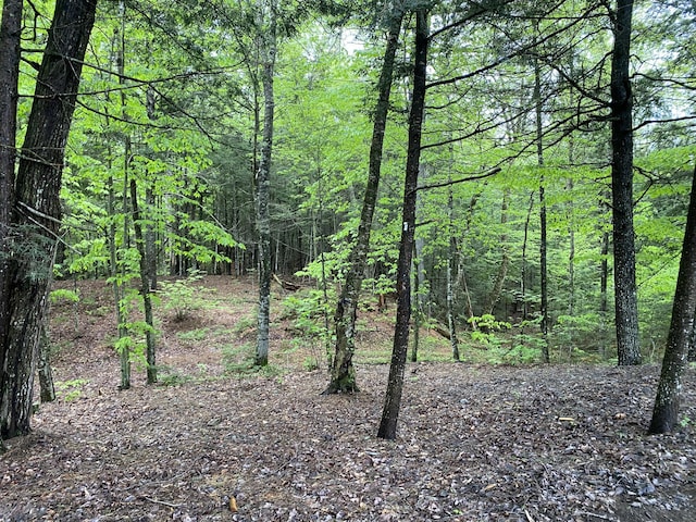 39 Salmon Rd, Madison, ME 04950 - view of wooded area
