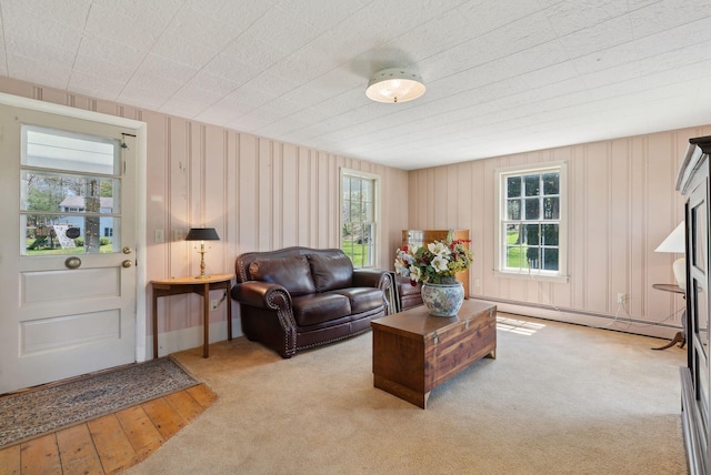 378 Pool St, Biddeford, ME 04005 - carpeted living area featuring baseboard heating, healthy amount of natural light, and hardwood / wood-style floors