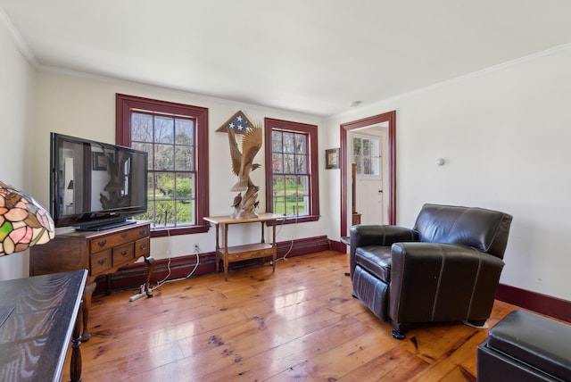 378 Pool St, Biddeford, ME 04005 - living area with light wood-type flooring, crown molding, and baseboards