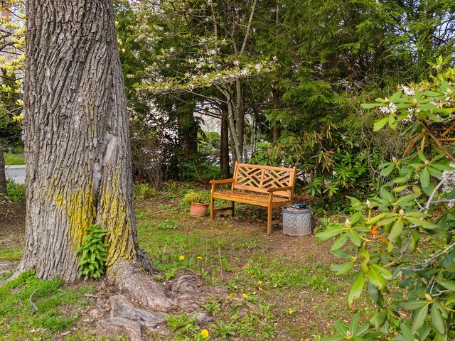 969 Washington St, Bath, ME 04530 - view of yard