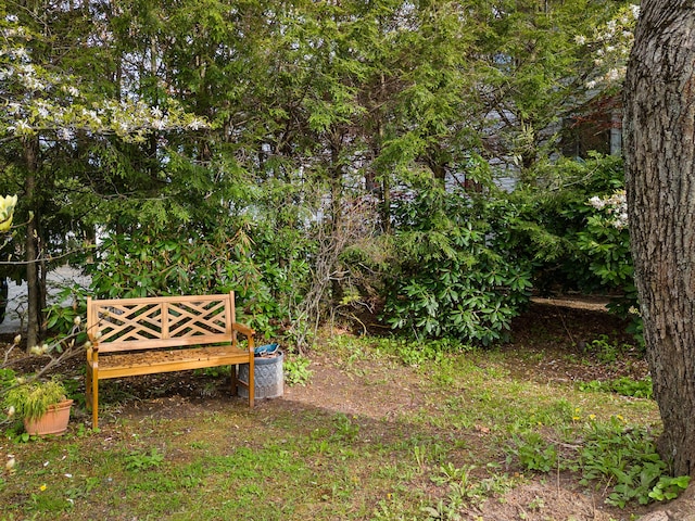 969 Washington St, Bath, ME 04530 - view of yard