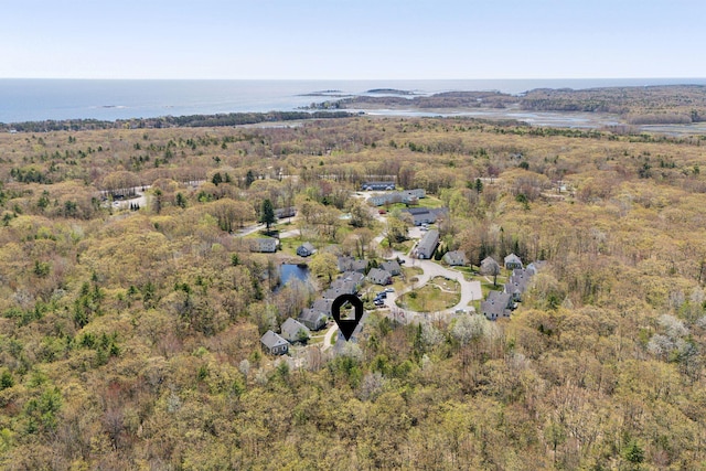 272 Mills Rd Unit 17, Kennebunkport, ME 04046 - view of property location with a heavily wooded area and a large body of water