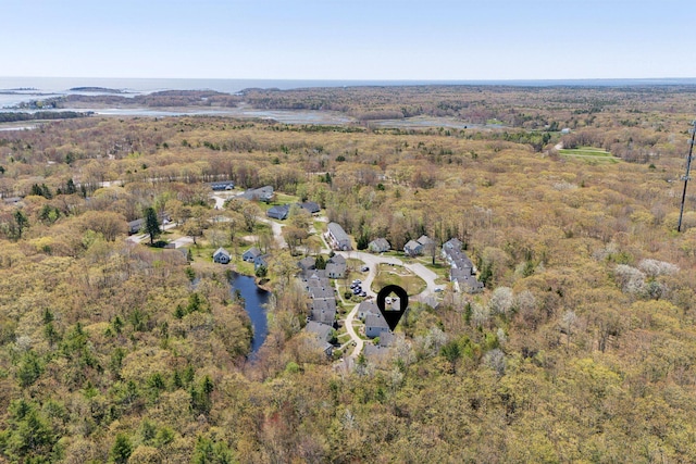 272 Mills Rd Unit 17, Kennebunkport, ME 04046 - aerial view of property's location with a forest