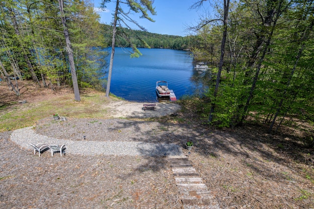 347 Brownfield Rd, Porter, ME 04068 - dock featuring a water view and a view of trees
