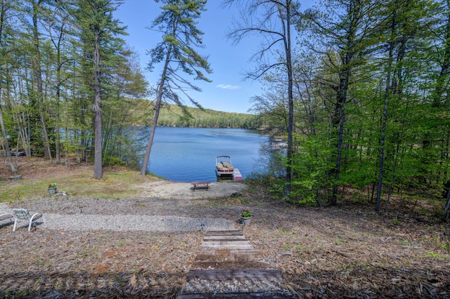 347 Brownfield Rd, Porter, ME 04068 - dock area featuring a water view and a forest view