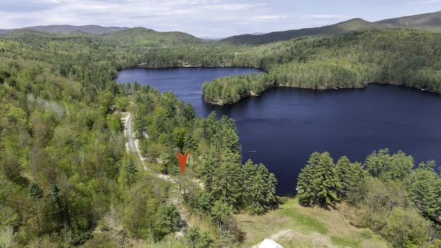 347 Brownfield Rd, Porter, ME 04068 - aerial overview of property's location with a forest and a water and mountain view