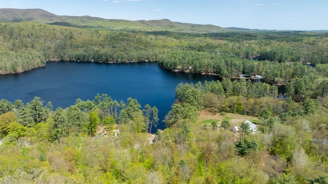 347 Brownfield Rd, Porter, ME 04068 - view of property location featuring a forest and a water and mountain view
