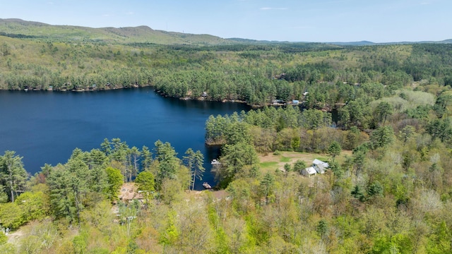 347 Brownfield Rd, Porter, ME 04068 - aerial overview of property's location with a forest and a water and mountain view