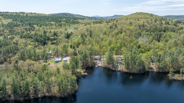 347 Brownfield Rd, Porter, ME 04068 - bird's eye view of a heavily wooded area and a water and mountain view