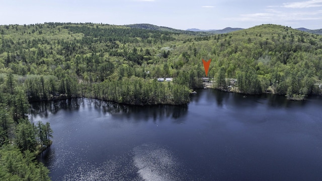 347 Brownfield Rd, Porter, ME 04068 - view of property location with a forest and a water and mountain view