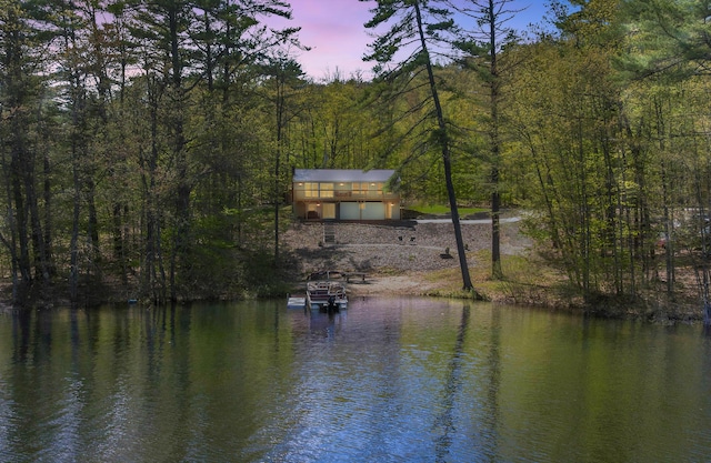 347 Brownfield Rd, Porter, ME 04068 - water view with a heavily wooded area