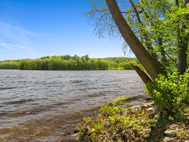 102 Hills Pt, Union, ME 04862 - water view with a heavily wooded area