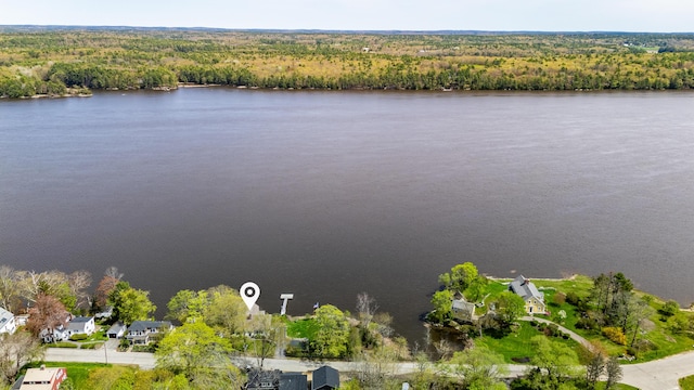 aerial view of a forest and a large body of water