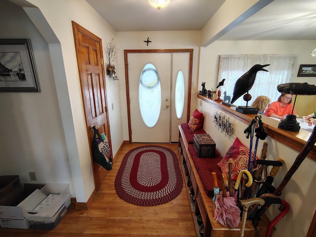 foyer entrance featuring wood finished floors and healthy amount of natural light