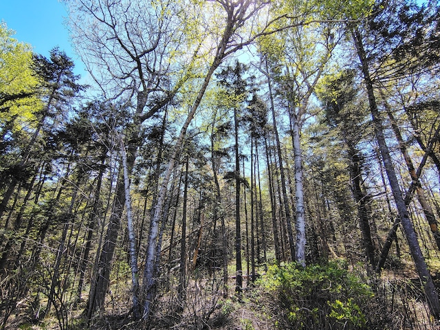 view of nature