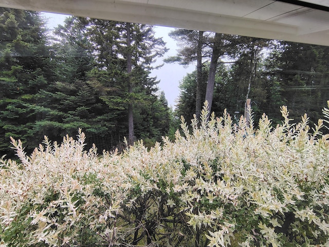 100 Weber Ln, Calais, ME 04619 - view of undeveloped land