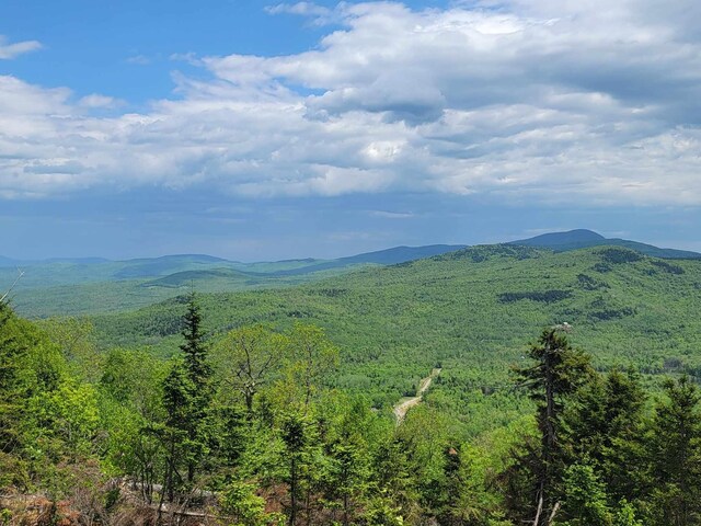 233 Weld Rd, Phillips, ME 04966 - mountain view featuring a forest