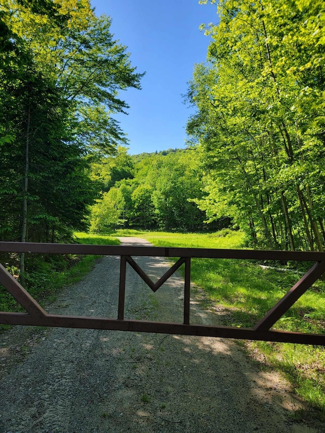 233 Weld Rd, Phillips, ME 04966 - gate with a wooded view
