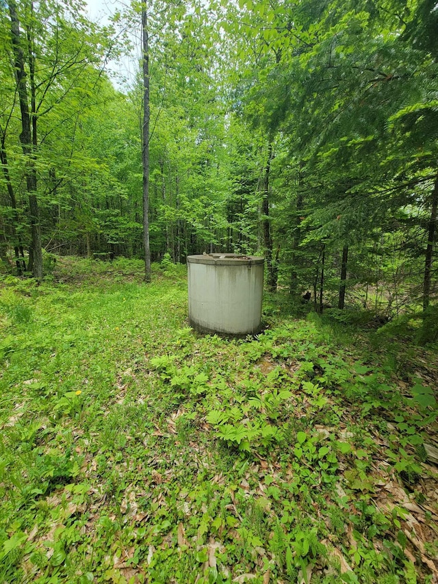 233 Weld Rd, Phillips, ME 04966 - view of yard featuring a view of trees