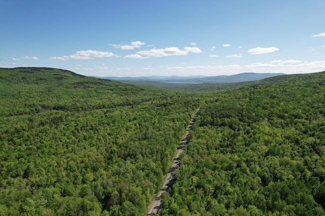 233 Weld Rd, Phillips, ME 04966 - mountain view with a heavily wooded area