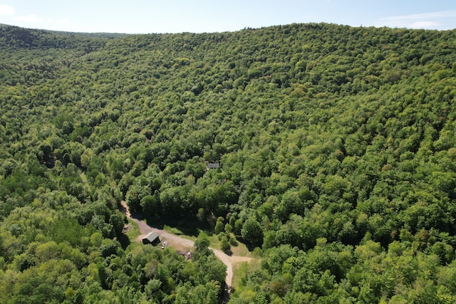 233 Weld Rd, Phillips, ME 04966 - drone / aerial view of a forest
