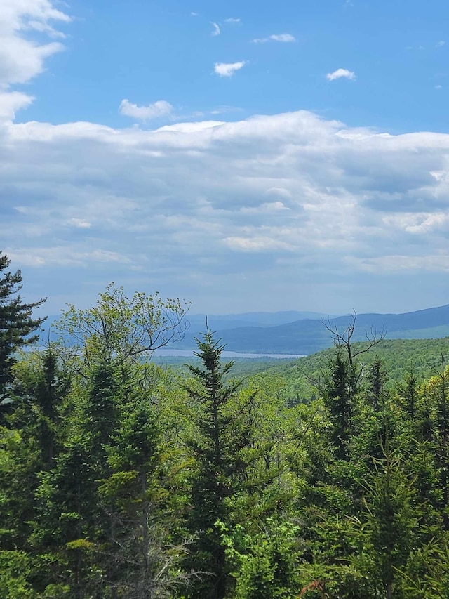 233 Weld Rd, Phillips, ME 04966 - mountain view with a forest
