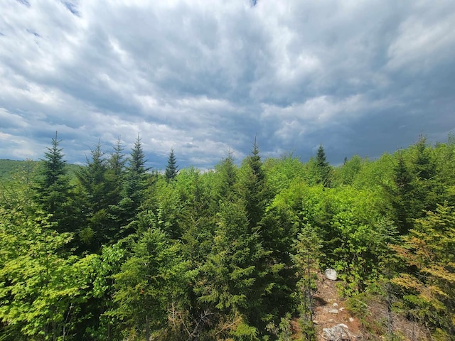 233 Weld Rd, Phillips, ME 04966 - view of wooded area