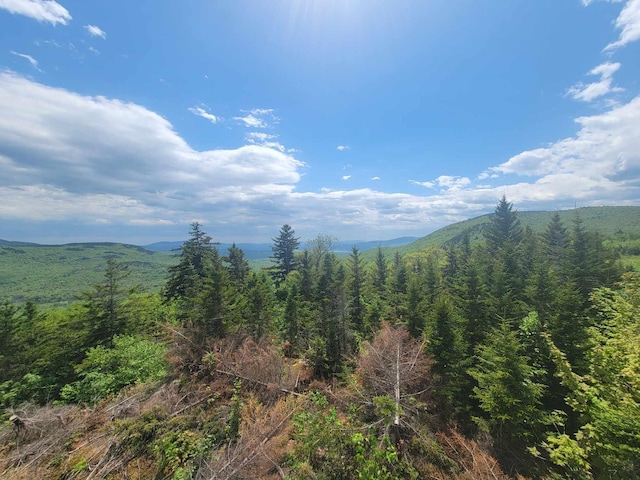 233 Weld Rd, Phillips, ME 04966 - mountain view with a forest