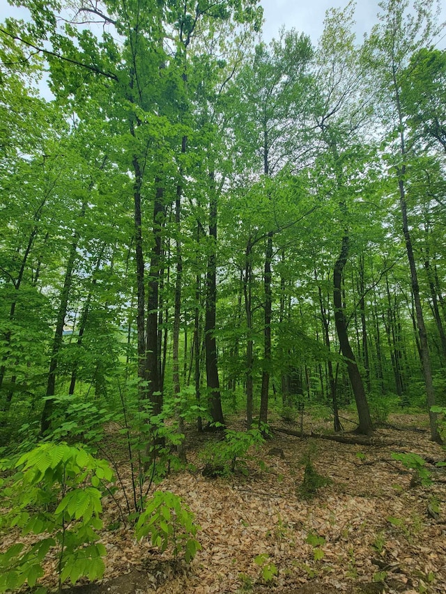 233 Weld Rd, Phillips, ME 04966 - view of nature