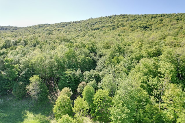 233 Weld Rd, Phillips, ME 04966 - drone / aerial view of a heavily wooded area