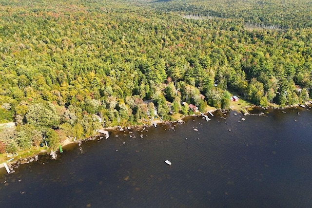 567 Phinney Farm Rd, Lincoln, ME 04457 - aerial overview of property's location with a heavily wooded area and a large body of water